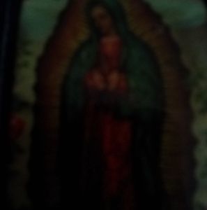 Meet your Posher, Chico